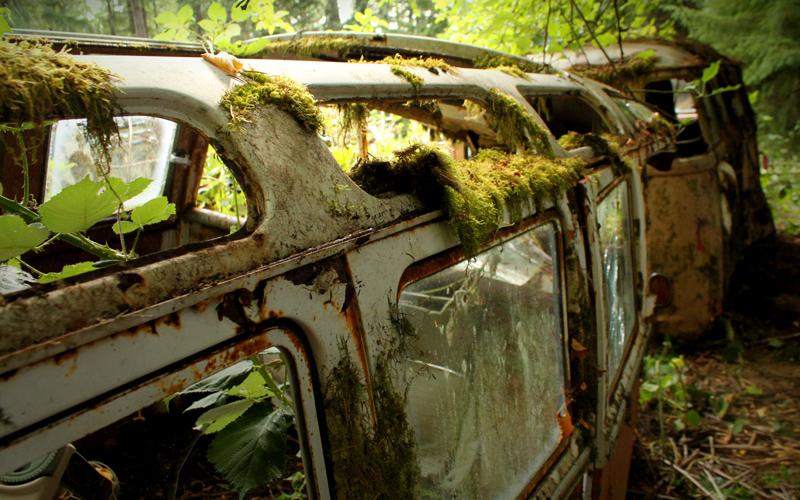 Abandoned VW Bus Rescued From Woods, Rare 1963 15 Window Volkswagen Deluxe