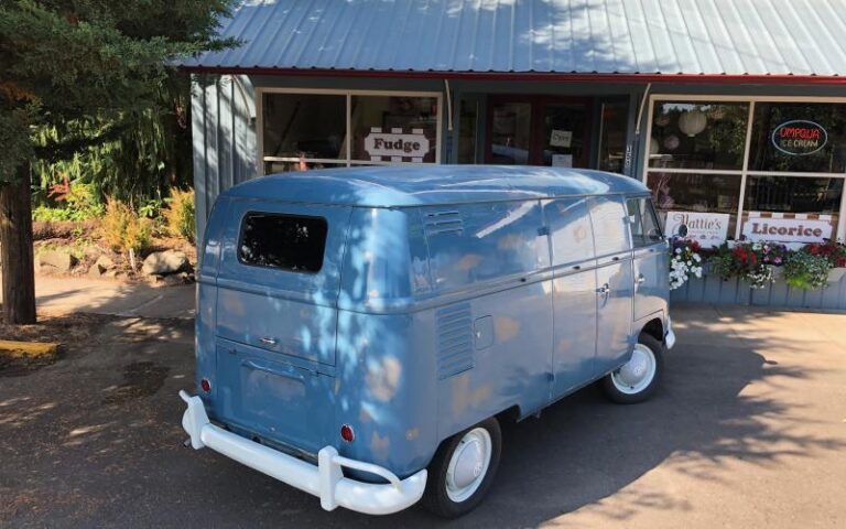 1960 Volkswagen Double Door Panel Buss s5-5