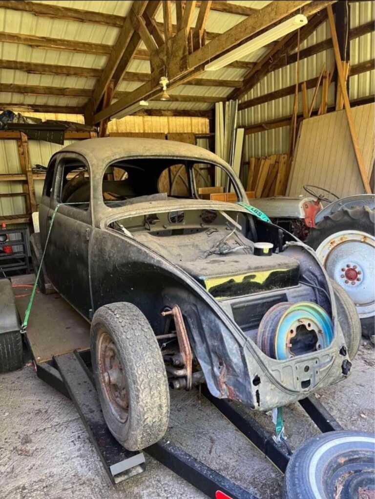 1955-vw-beetle-std-oval-silver-lining-auto-restoration5