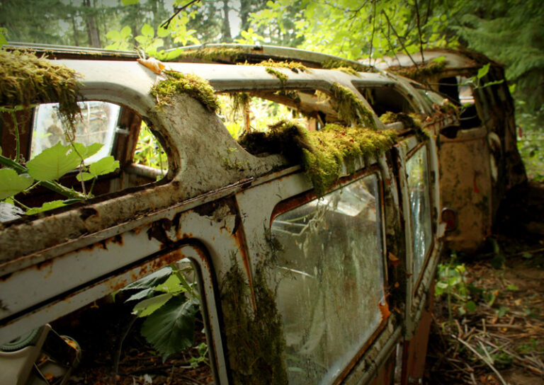 1961 23 window deluxe vw bus found in woods silver lining auto restoration